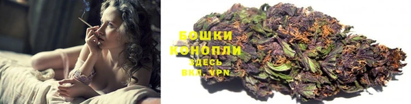 ALPHA PVP Горнозаводск