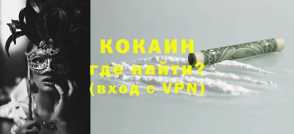 дмт Горняк