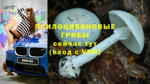 винт Горно-Алтайск