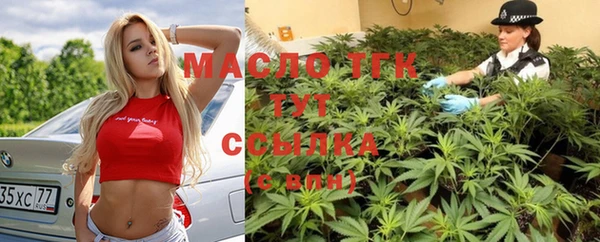 винт Горно-Алтайск