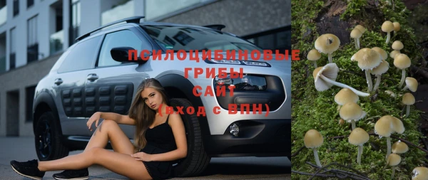винт Горно-Алтайск