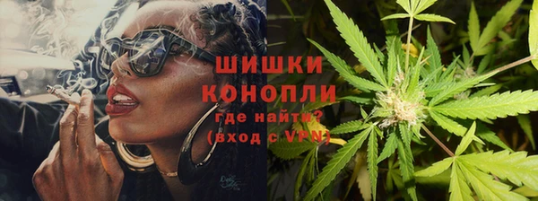 ALPHA PVP Горнозаводск