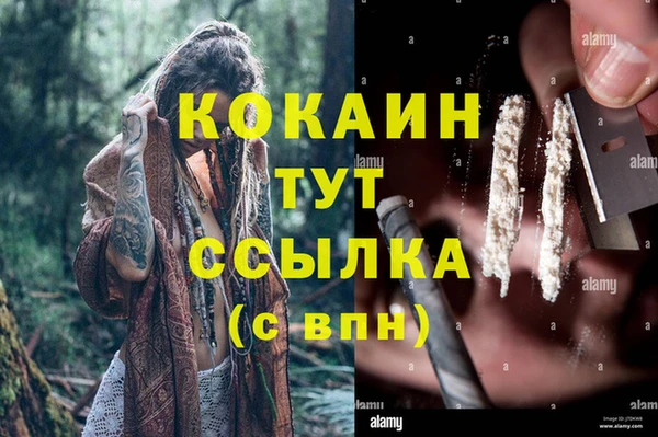 винт Горно-Алтайск