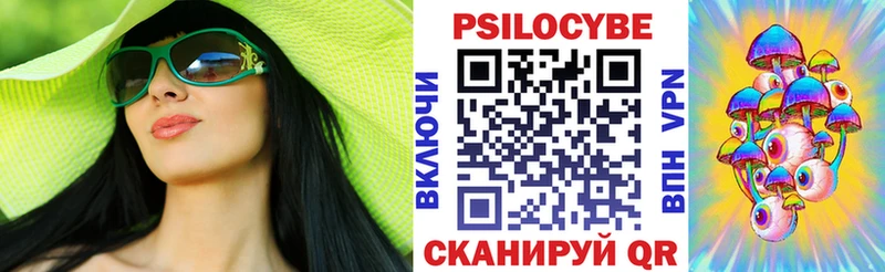 Галлюциногенные грибы Psilocybe  купить   Омск 